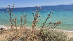 Read more about the article Kallithea, Halkidiki: Beaches, Things to Do and Travel Guide
