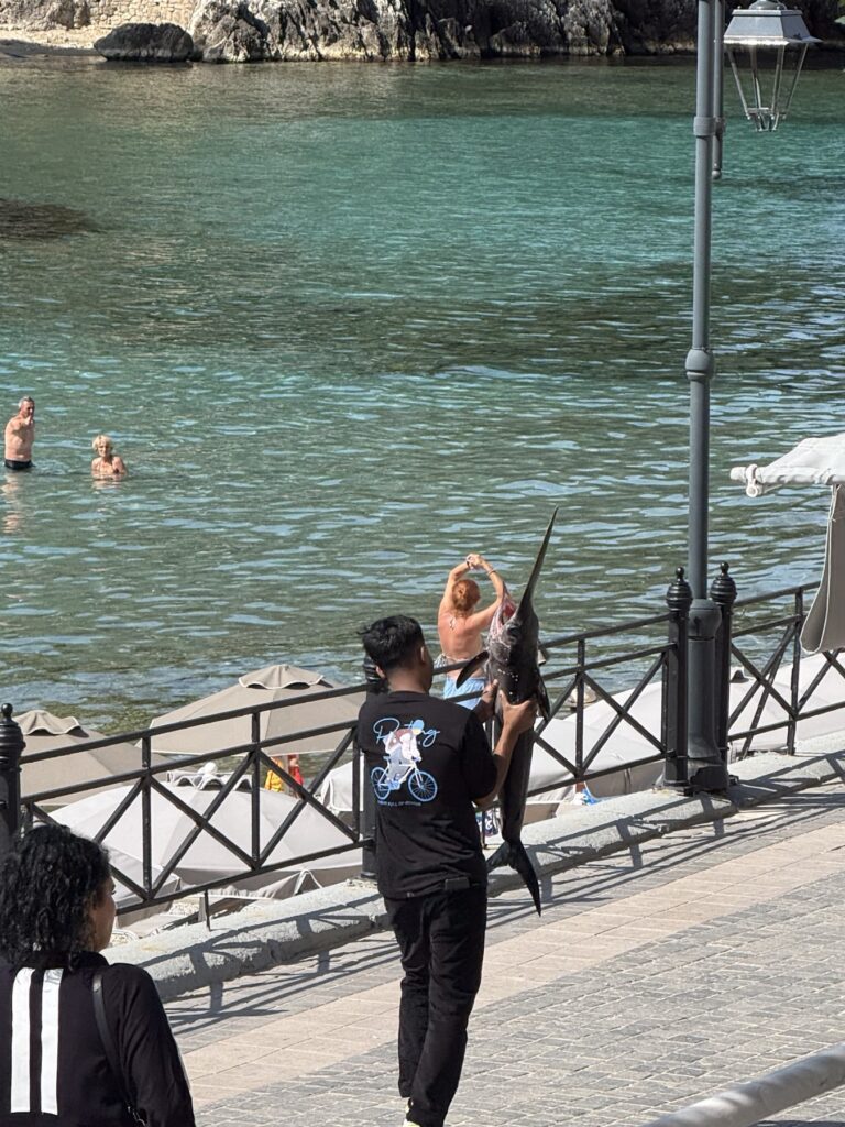 Freshly caught swordfish by the waterfront in Parga, Greece